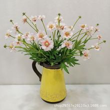 涡СrҰջ֦С¼Ҿb҃Ȳ[l