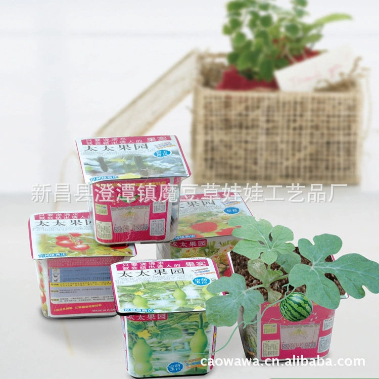 Посадка травы куклы Миссис Орчард Настольное растение в горшке Маленькое растение в горшке Счастливая ферма Миссис Тай Гарден