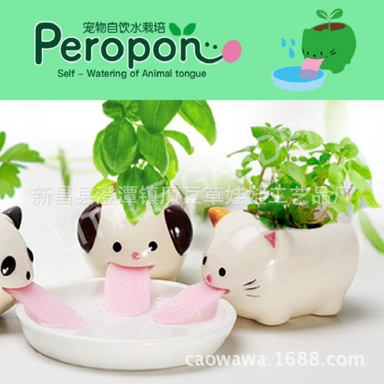 Соска бар гостевой напиток бар гость Садоводство Горшечное растение Рабочий стол Творческий гидропонный мини керамический горшок трава кукла домашние цветы