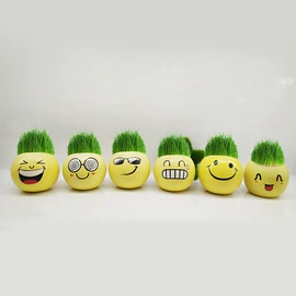 植物工艺品;栽培基质;陶瓷工艺品