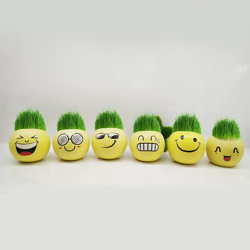 种植长草栽培玩具草娃娃迷你盆栽炫酷笑脸六个表情DIY创意绿植