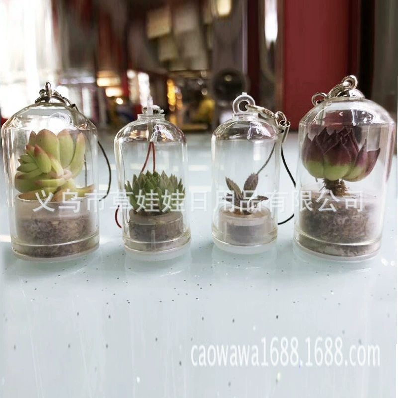 Завод брелок мобильный телефон кулон суккулент маленькое свежее мясо стеклянная бутылка кулон портативный ферма