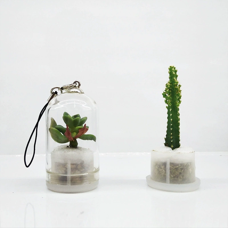 Сочные растения Подвеска для мобильного телефона Ручная кладь на ферме/Сочные Цветочные дома/Сочные растения Подвеска Брелок Маленькое растение в горшке