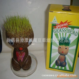 植物工艺品;栽培基质;盆栽
