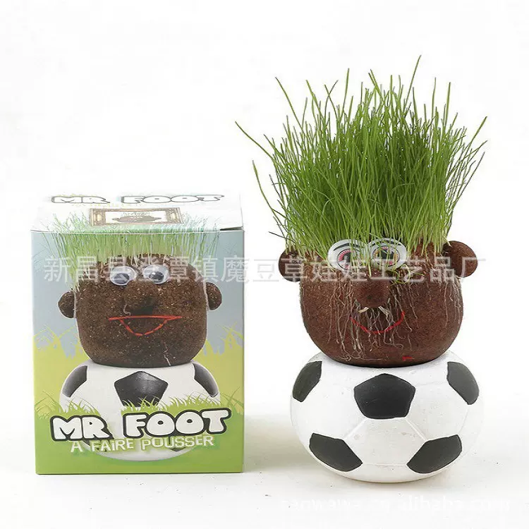 长草娃娃小眼睛浇水长草 可爱足球种植桌面盆栽草娃娃花卉盆景