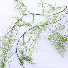 �Ηl����ٵ�픙����b���ڹ�â�Ĕz�����F���پG���b����Xާ