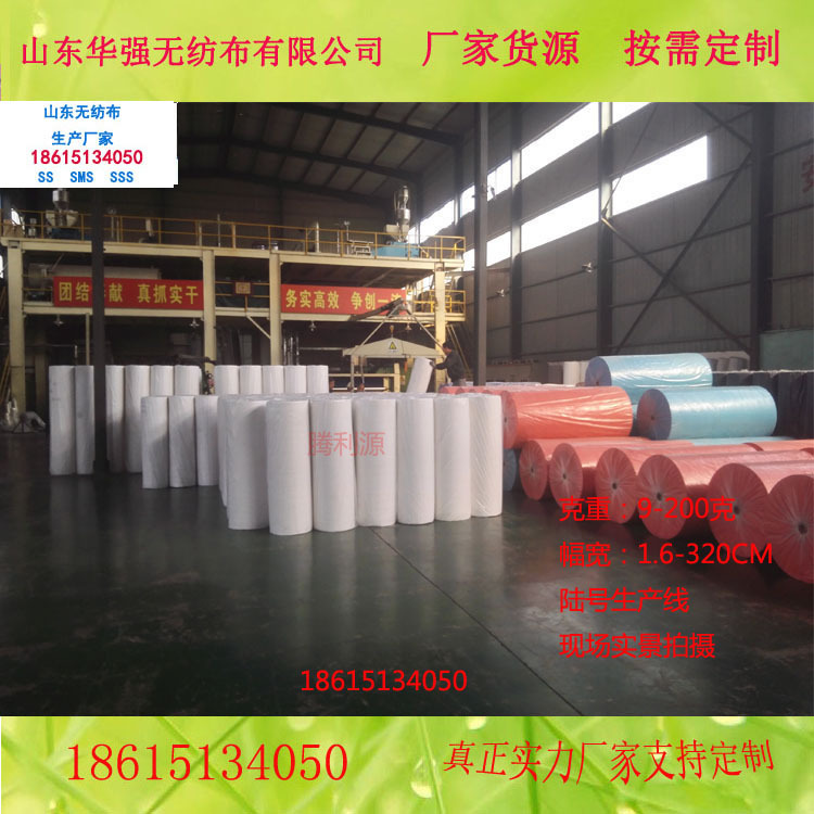 家居淋膜口罩印花PP纺粘丙纶布 无纺布卷 包装用不织布 厂家供应