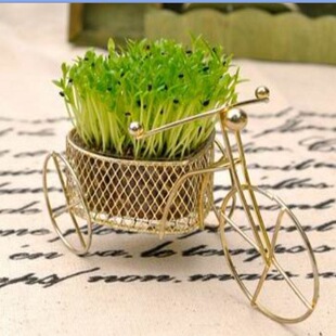 ���Ć�܇�����������l ���������Ͳ���ݷNֲ��ˇƷ�k���ҶYƷ