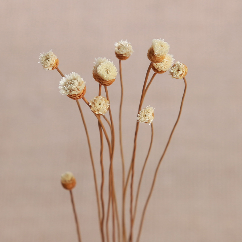 Manufacturer Wholesale Rattan Dried Flower Aromatherapy Volatile Special Accessories Rattan Size Small Bud Happy Flower