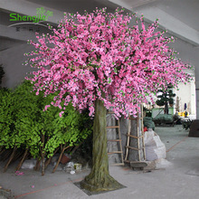 �����һ������}���Ո��ط���ֲ����һ����bٻ��䶨�Ʒ��滨��