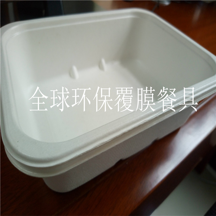 厂家PLA可降解餐具覆膜 淋膜餐具淋膜纸复合膜pla颗粒聚乳酸