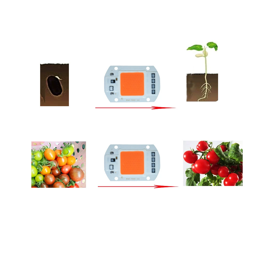 Источник света, LED-лампа для растений, оптом, 220в, 110в, комфортный спектр света