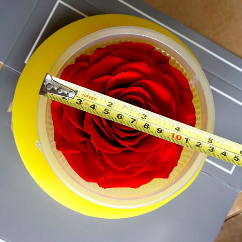 Preserved flower rose head 9-10cm single giant diy flower gift box Valentine's Day gift wholesale bouquet