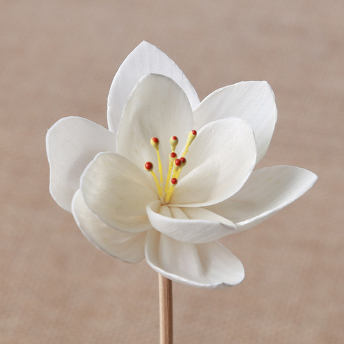 Wholesale Tragacanth Flower Dried Flower Special Vapor Tragacanth Flower Accessories Orchid No-Flame Aroma Diffuser Aroma Flower