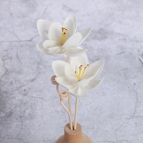Wholesale Tragacanth Flower Dried Flower Special Vapor Tragacanth Flower Accessories Orchid No-Flame Aroma Diffuser Aroma Flower