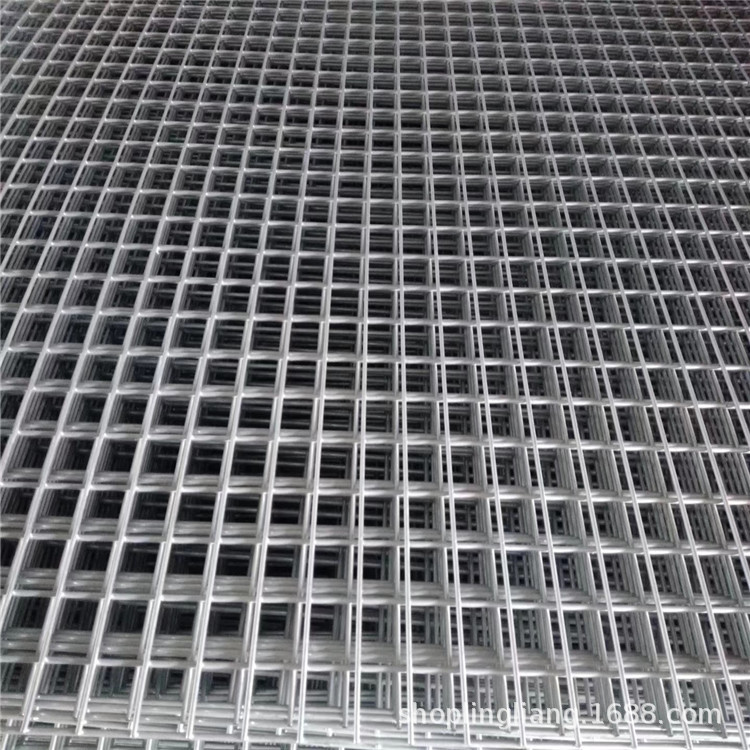 钢筋镀锌网片 可批发过滤网片 电焊网 鸽子笼铁网养殖围栏