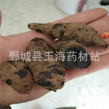 ���� ����̿ ��ș�����l���N��ș��