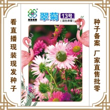 �T�����N�繫˾ֱ�����������طNֲ�߲˷N�� ���13̖���N��