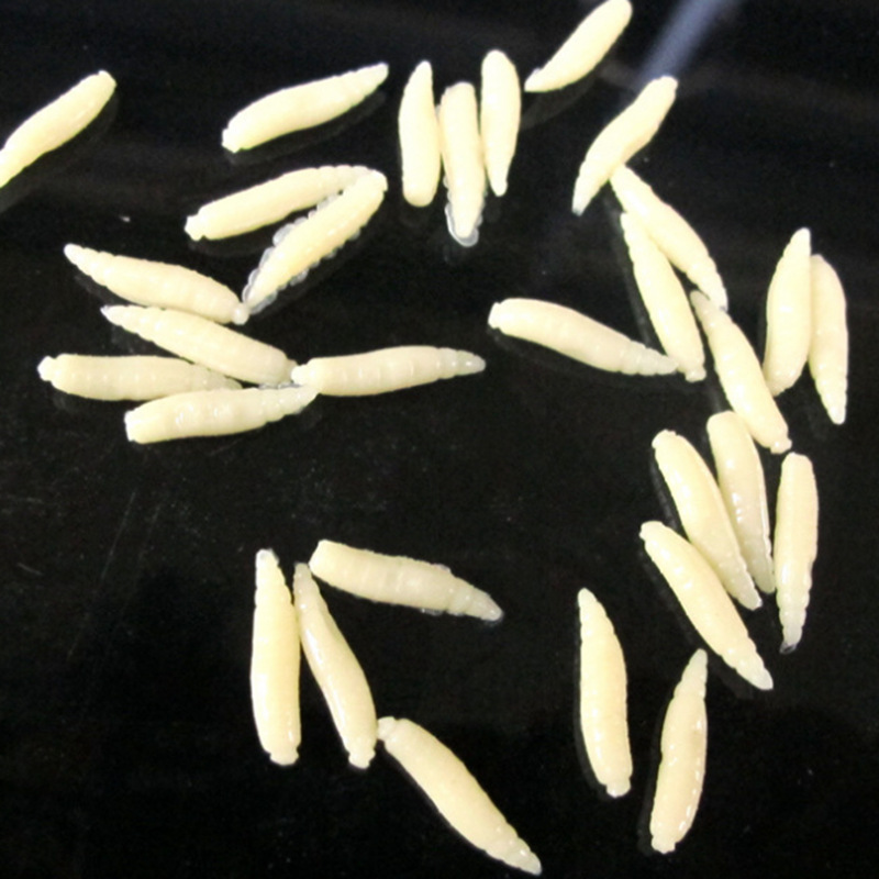 Transfronteriza Pisces gusano mosca pan gusano cebo falso suave gusano cebo suave luya luminosa imitación cebo artificial 50 piezas/bolsa