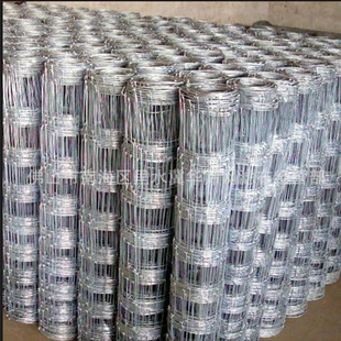 ���l�Bֳ�W �S���N��ţ�ھW ��ԭ���o�W Ȧ��W