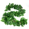 1 pack of 36 pieces of color -printed grape leaves (5 pieces)