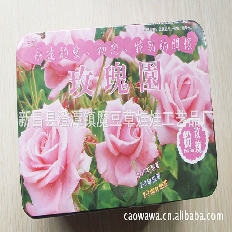 Трава Кукла Роза Любовь Голубая Роза Счастливая ферма в горшке Романтический розовый сад Растение в горшке