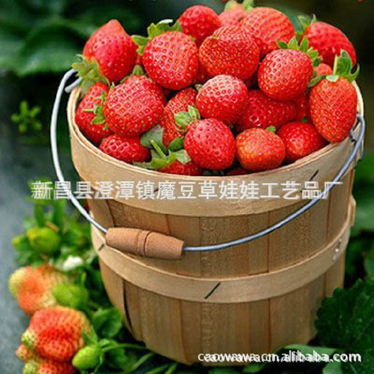 Трава кукла просмотр клубничный цветок украшение балкона офисный Настольный горшок для выращивания цветов горшок