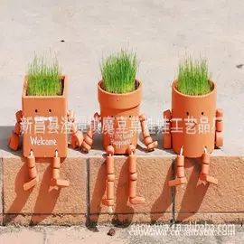 植物工艺品;栽培基质;花盆容器