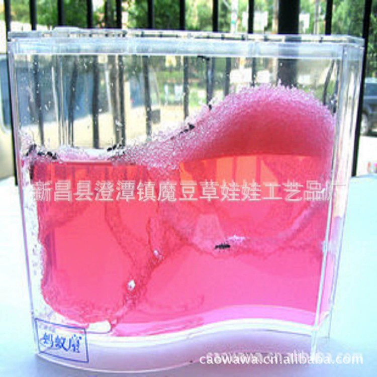 Сельское хозяйство Муравьев Мастерская Муравьев Студент игрушки/Муравей Студия/Муравей Дом/Муравей Студия