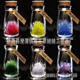 植物工艺品;栽培基质;陶瓷工艺品