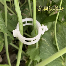 �Ӻ�ֲ��̶��A�޽ӊA���������t������ֲ��A���Ͻ����A��֦