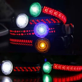 狗狗牵引;宠物项圈;狗狗玩具