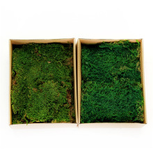 �S��ֱ�N����\��̦����ͥԺ�쾰̦�\ֲ��b�΢���^������