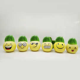 长草娃娃迷你盆栽 炫酷笑脸 独立盒装 六个表情 DIY桌面创意盆栽
