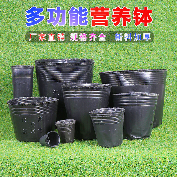 Nutrition pot manufacturers wholesale seedling cup black plastic…