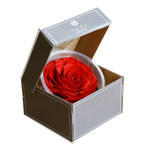 Preserved flower rose head 9-10cm single giant diy flower gift box Valentine's Day gift wholesale bouquet