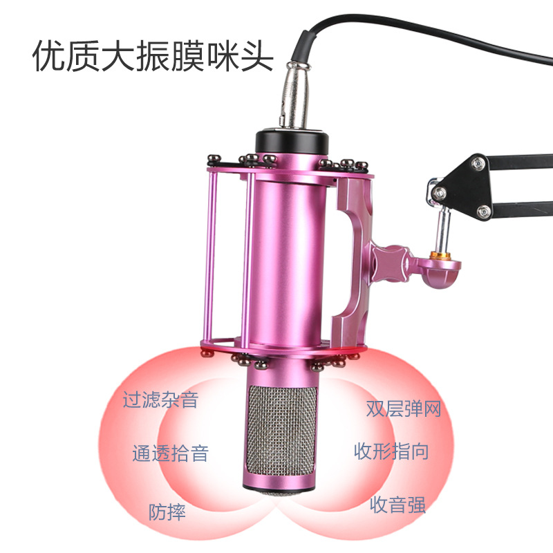 Condenser Microphone Mobile Phone Computer Sound Card Recording Live Video Shooting Voice Conference Teaching Training Recording Mai