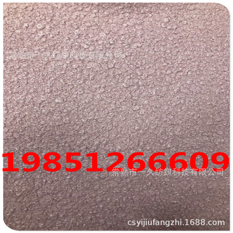 双面绒 针刺仿羊绒绒  圈圈绒反面针起绒面料