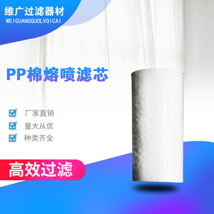 �S�ҹ���PP���ۇ��Vо���Ã�ˮ���Vо�^�V������nʽ�Vо