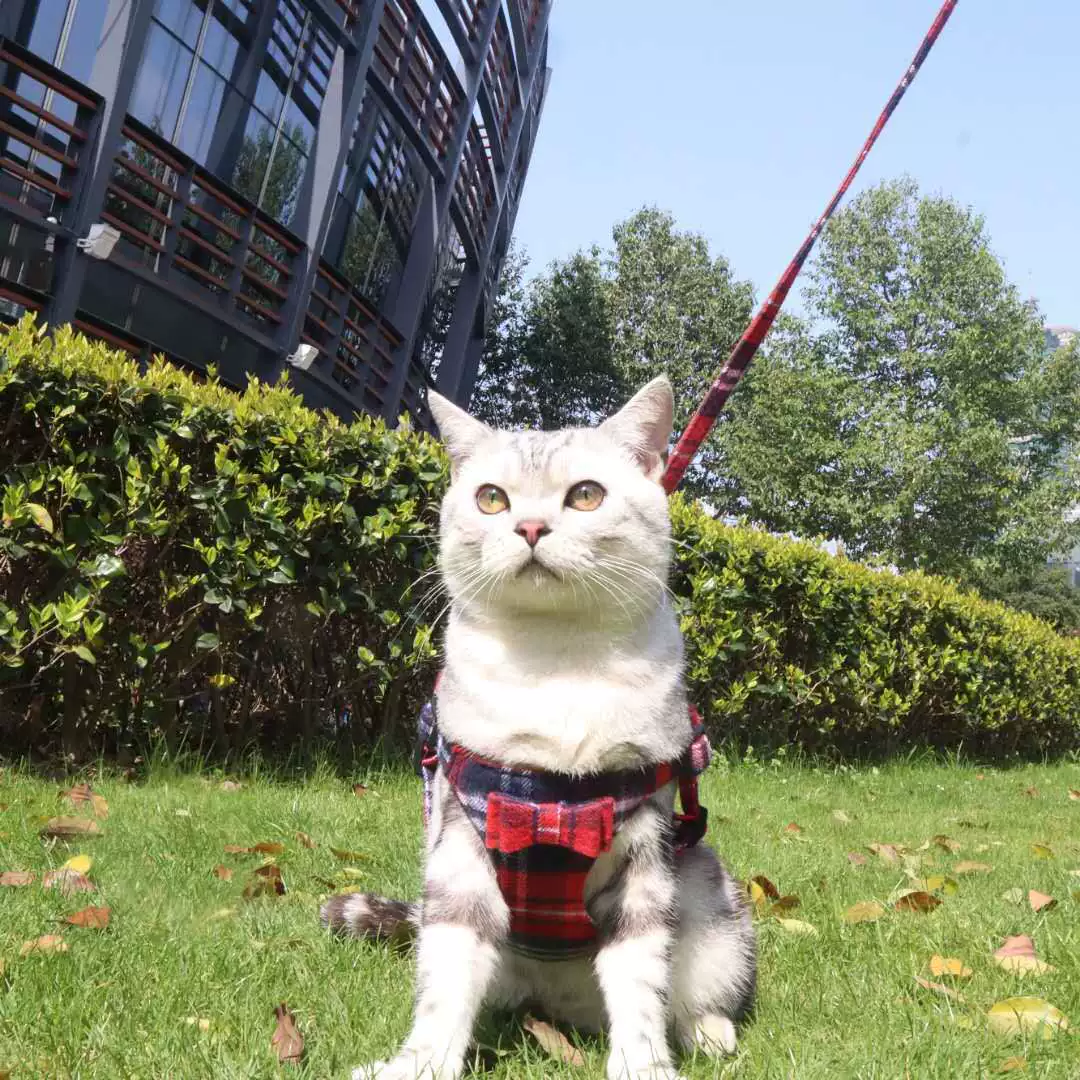 Aminger Новый завод прямой тканевый жилет для домашних животных Тяговый нагрудный ремень дышащий нагрудный ремень для собак