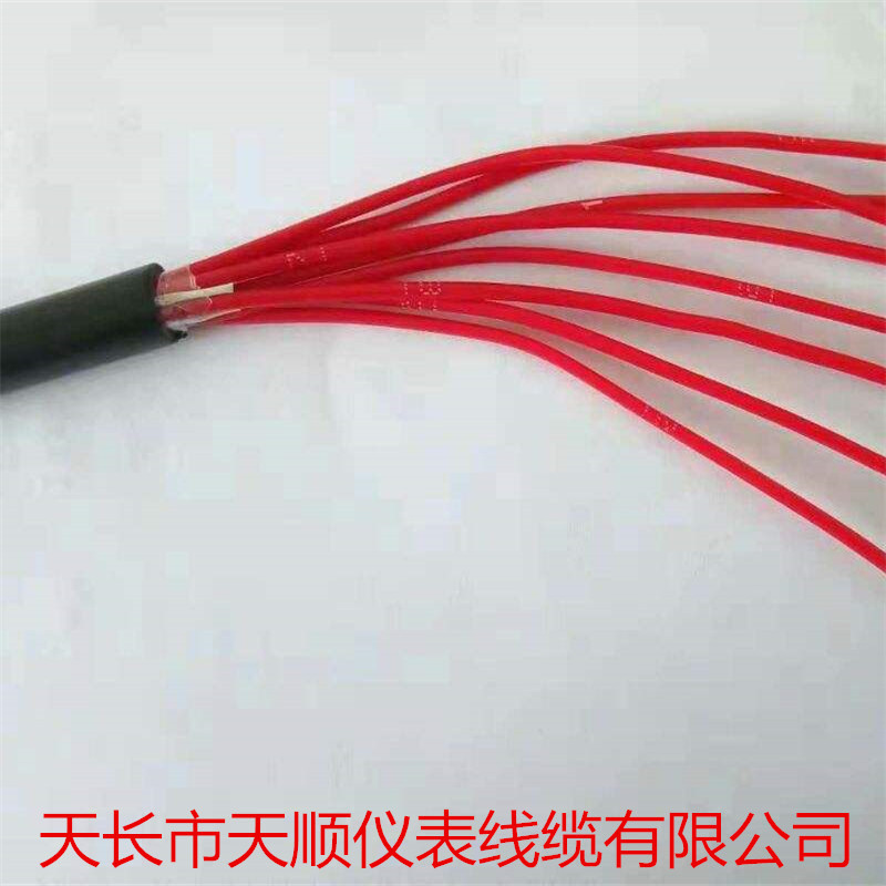 ZRA-DJYPVP-5*2*1.5-300/500阻燃分总屏计算机电缆/信号电缆