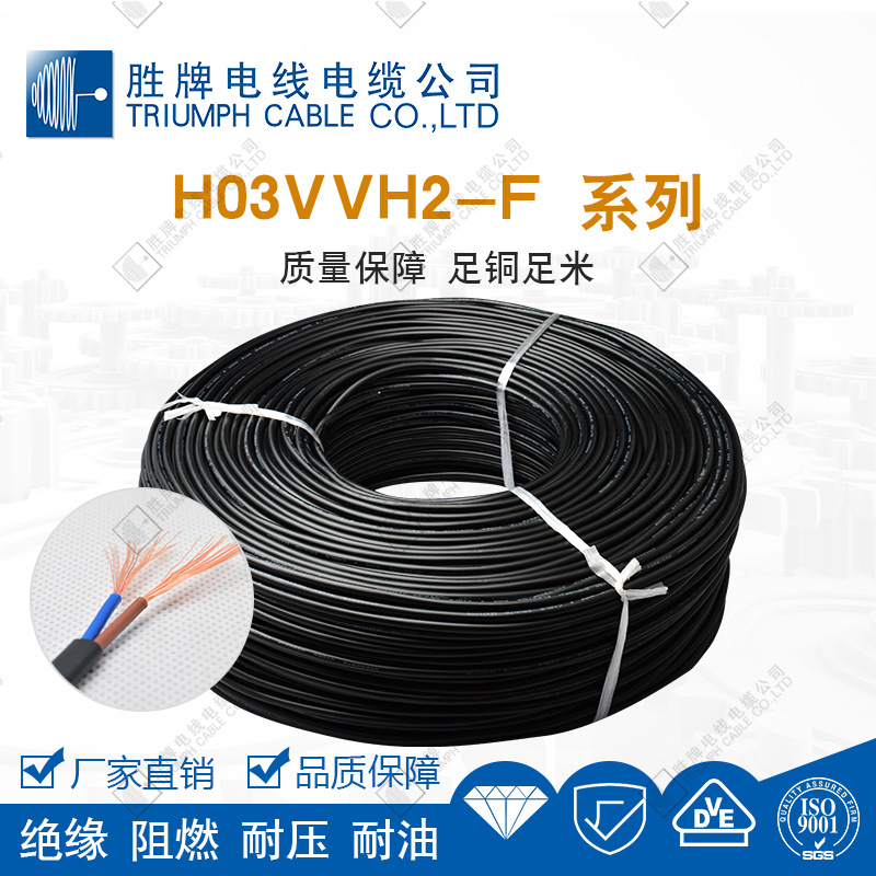 胜牌光电H03VVH2-F 2*0.5MM插头线 欧规电源线扁形护套线VDE认证