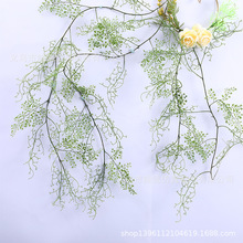 ��Ʒާ���F��ާ�L�ٺ���ɳ�����ٗl�����b��F��ɏ����ٺڹ�â