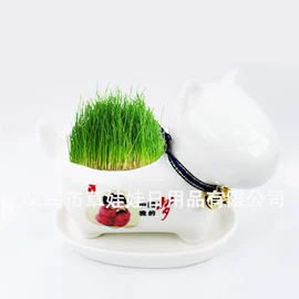 植物工艺品;栽培基质;陶瓷工艺品