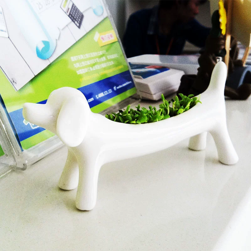 Аэробика Посадка Собаки Shoucai Креативные Подарки Оптом Новые Странные Аэробики Посадка В Горшке Зеленые Посадки Настольные Растения