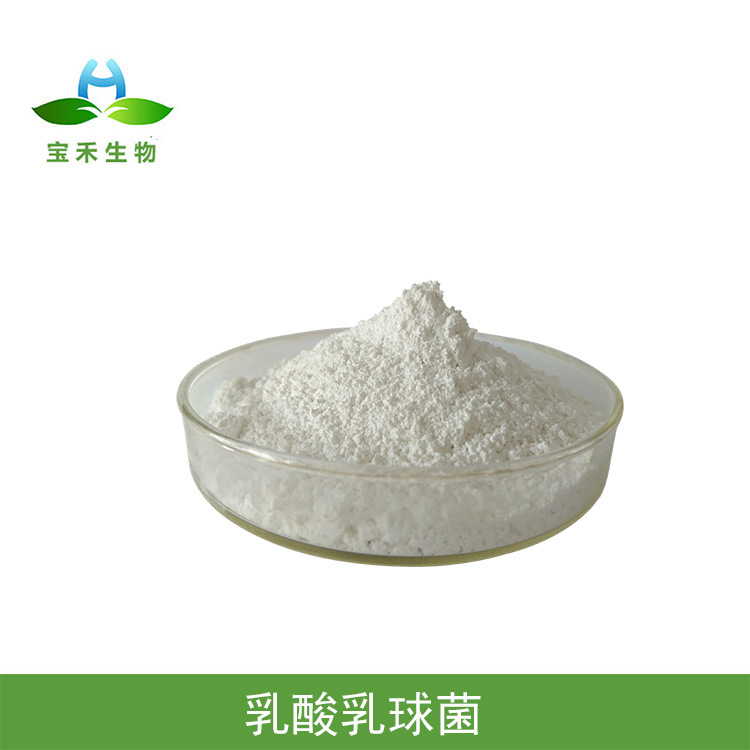 乳酸乳球菌 100亿/g  乳酸乳球菌冻干粉 乳酸杆菌 乳酸菌益生菌粉