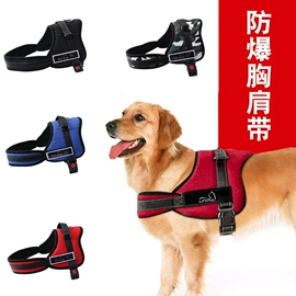 狗狗牵引;狗狗窝/笼/垫;宠物项圈