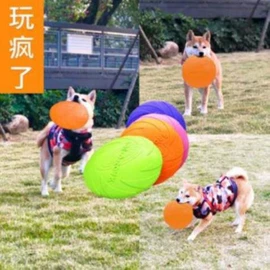 猫猫玩具;瘦脸工具;狗狗食具