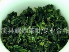 2023年秋茶上市茶农价 安溪茶叶铁观音乌龙茶 浓香青茶散装批发