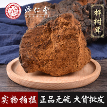泽仁堂中药材俄罗斯桦树茸白桦茸一手货源 产地直销 大货批发包邮